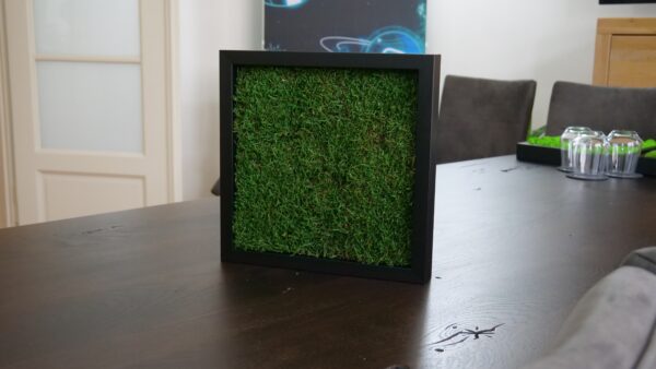 Flachmoos Moosbild – 30 × 30 cm