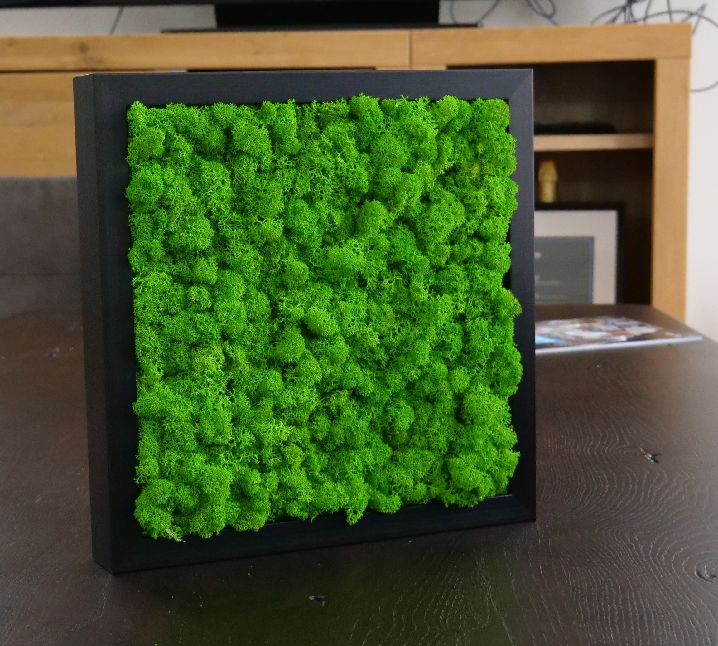 Islandmoos Moosbild – 30 × 30 cm