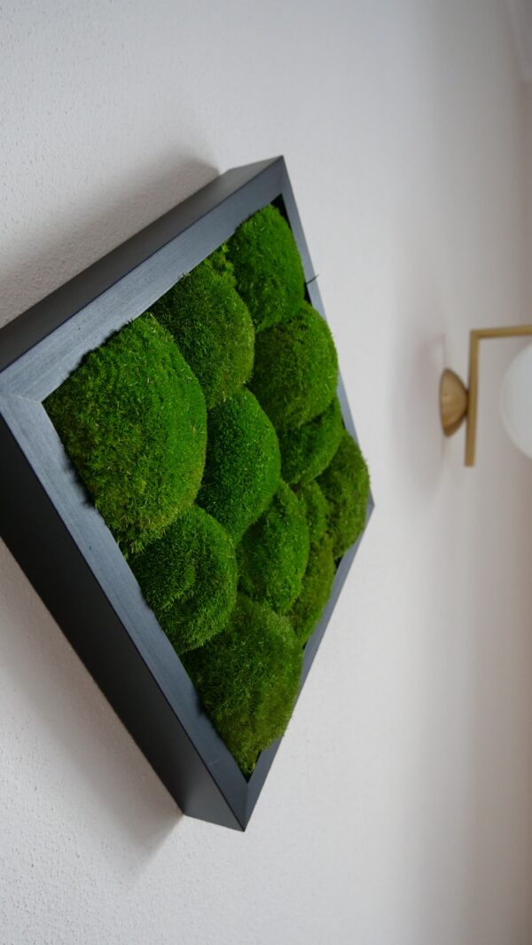 Kugelmoos Moosbild 30x30 – Natürliches 3D Moos Wandbild – Handgefertigt & pflegefrei