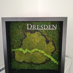 Moosbild Dresden – Handgefertigte Stadtkarte aus Kugelmoos & Islandmoos (25 x 25 cm)