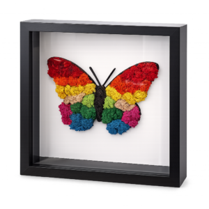 Bunter Schmetterling aus Islandmoos 25 x 25 cm