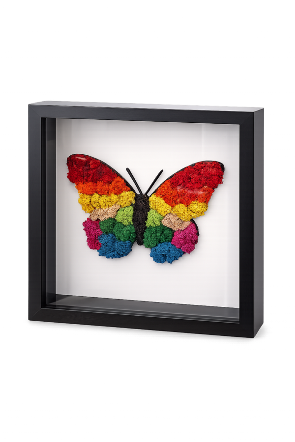Bunter Schmetterling aus Islandmoos 25 x 25 cm