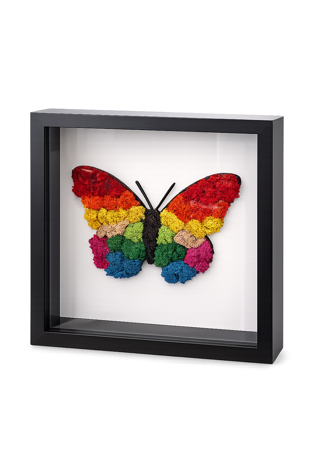 Bunter Schmetterling aus Islandmoos 25 x 25 cm