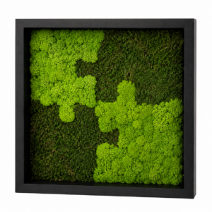 Puzzle Moosbild 25 x 25 cm aus Islandmoos & Waldmoos