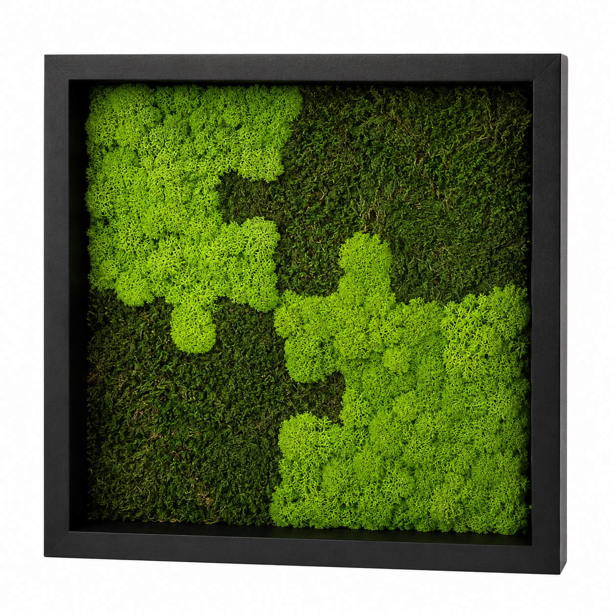 Puzzle Moosbild 25 x 25 cm aus Islandmoos & Waldmoos