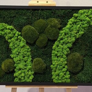 Moosbild " Waldfluss" 50 cm x 70 cm